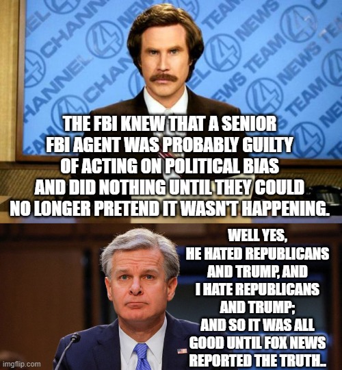 Yep . . . all true. | THE FBI KNEW THAT A SENIOR FBI AGENT WAS PROBABLY GUILTY OF ACTING ON POLITICAL BIAS AND DID NOTHING UNTIL THEY COULD NO LONGER PRETEND IT WASN'T HAPPENING. WELL YES, HE HATED REPUBLICANS AND TRUMP, AND I HATE REPUBLICANS AND TRUMP; AND SO IT WAS ALL GOOD UNTIL FOX NEWS REPORTED THE TRUTH.. | image tagged in breaking news | made w/ Imgflip meme maker