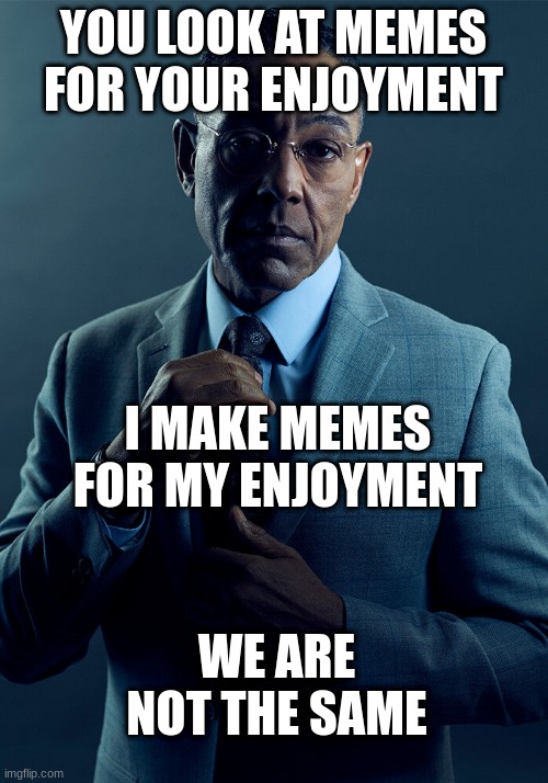 Gus Fring we are not the same | YOU LOOK AT MEMES FOR YOUR ENJOYMENT; I MAKE MEMES FOR MY ENJOYMENT; WE ARE NOT THE SAME | image tagged in gus fring we are not the same | made w/ Imgflip meme maker