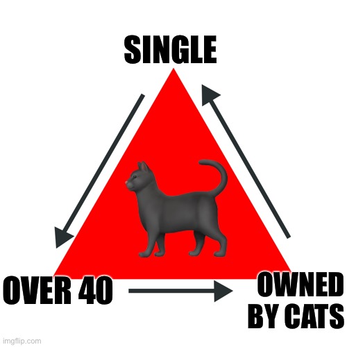 owned by cats | SINGLE; 🐈‍⬛; OVER 40; OWNED
BY CATS | image tagged in drama triangle consequences loop,crazy cat lady,crazy cat person,funny cat memes,cat,cats are awesome | made w/ Imgflip meme maker