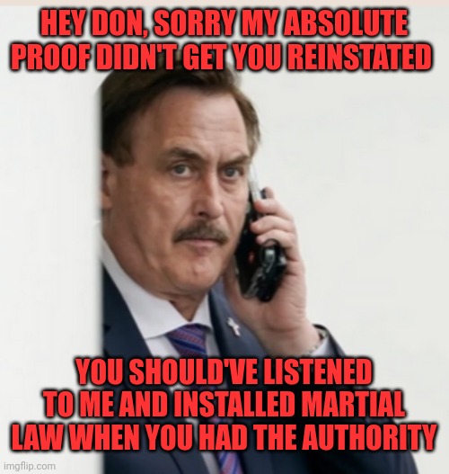 Insurrectionists gonna insurrect | HEY DON, SORRY MY ABSOLUTE PROOF DIDN'T GET YOU REINSTATED YOU SHOULD'VE LISTENED TO ME AND INSTALLED MARTIAL LAW WHEN YOU HAD THE AUTHORITY | image tagged in mypillow | made w/ Imgflip meme maker
