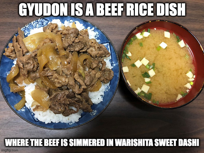 Gyudon | GYUDON IS A BEEF RICE DISH; WHERE THE BEEF IS SIMMERED IN WARISHITA SWEET DASHI | image tagged in food,memes | made w/ Imgflip meme maker