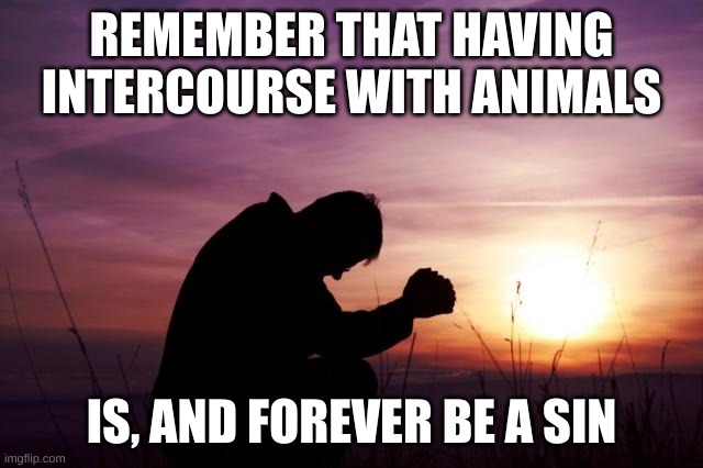Pray | REMEMBER THAT HAVING INTERCOURSE WITH ANIMALS IS, AND FOREVER BE A SIN | image tagged in pray | made w/ Imgflip meme maker