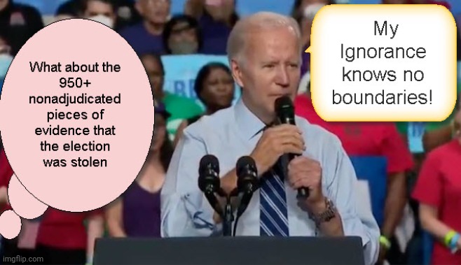 Joe Biden's Ignorance Knows No Boundaries | image tagged in creepy joe biden,dementia,old pervert,government corruption | made w/ Imgflip meme maker
