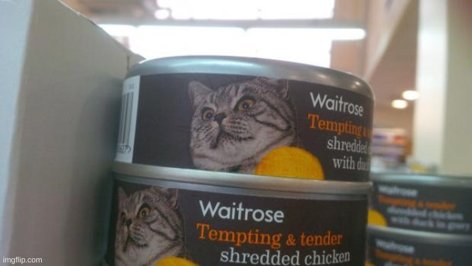 Cat food | image tagged in cat food | made w/ Imgflip meme maker