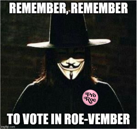 Remember, remember to vote in Roe-vember | image tagged in roe-vember | made w/ Imgflip meme maker