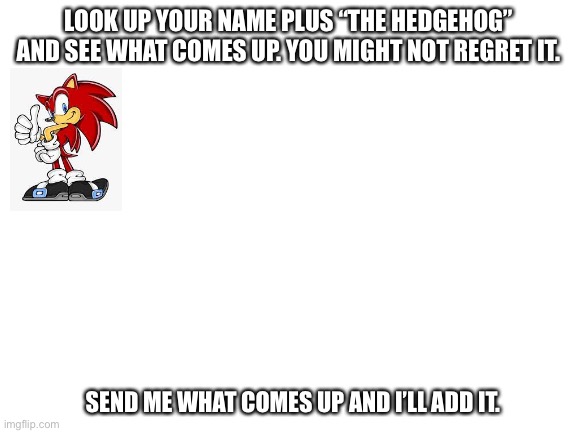 Do it, I doubt that you’ll regret it | LOOK UP YOUR NAME PLUS “THE HEDGEHOG” AND SEE WHAT COMES UP. YOU MIGHT NOT REGRET IT. SEND ME WHAT COMES UP AND I’LL ADD IT. | image tagged in blank white template,sonic | made w/ Imgflip meme maker