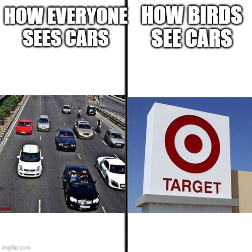Birds do be like that | HOW BIRDS SEE CARS; HOW EVERYONE SEES CARS | image tagged in t chart,birds,memes | made w/ Imgflip meme maker