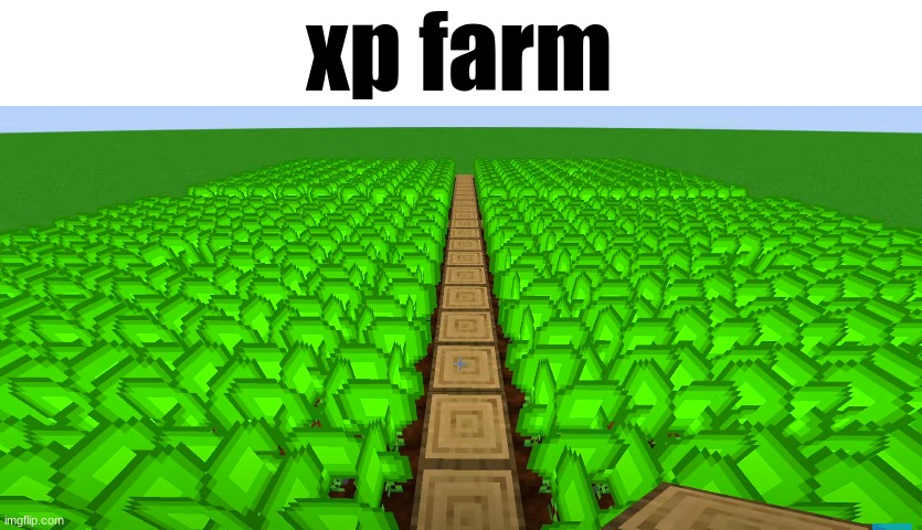 xp farm | made w/ Imgflip meme maker