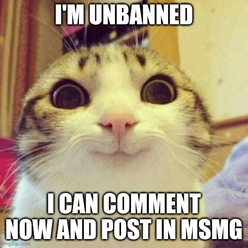 Smiling Cat | I'M UNBANNED; I CAN COMMENT NOW AND POST IN MSMG | image tagged in memes,smiling cat | made w/ Imgflip meme maker