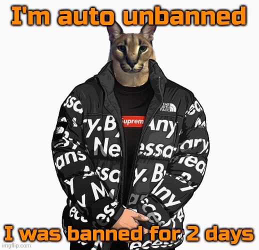 Floppa drip | I'm auto unbanned; I was banned for 2 days | image tagged in floppa drip | made w/ Imgflip meme maker