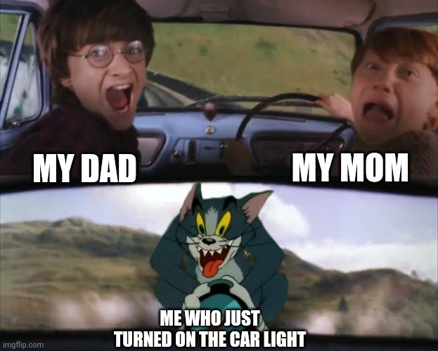 Meme #91 | MY MOM; MY DAD; ME WHO JUST TURNED ON THE CAR LIGHT | image tagged in tom chasing harry and ron weasly,cars,moms,dads,memes,funny | made w/ Imgflip meme maker