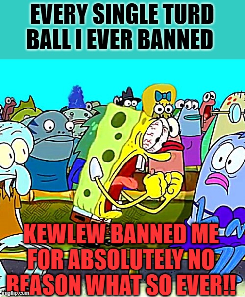 EVERY SINGLE TURD BALL I EVER BANNED; KEWLEW BANNED ME FOR ABSOLUTELY NO REASON WHAT SO EVER!! | made w/ Imgflip meme maker