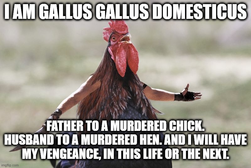 Gladiator Rooster | I AM GALLUS GALLUS DOMESTICUS; FATHER TO A MURDERED CHICK. HUSBAND TO A MURDERED HEN. AND I WILL HAVE MY VENGEANCE, IN THIS LIFE OR THE NEXT. | image tagged in gladiator rooster | made w/ Imgflip meme maker