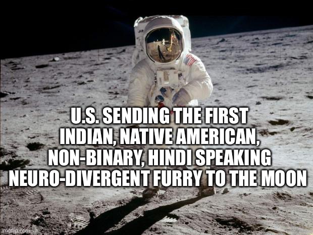 Mooned | U.S. SENDING THE FIRST INDIAN, NATIVE AMERICAN, NON-BINARY, HINDI SPEAKING NEURO-DIVERGENT FURRY TO THE MOON | image tagged in moon landing | made w/ Imgflip meme maker