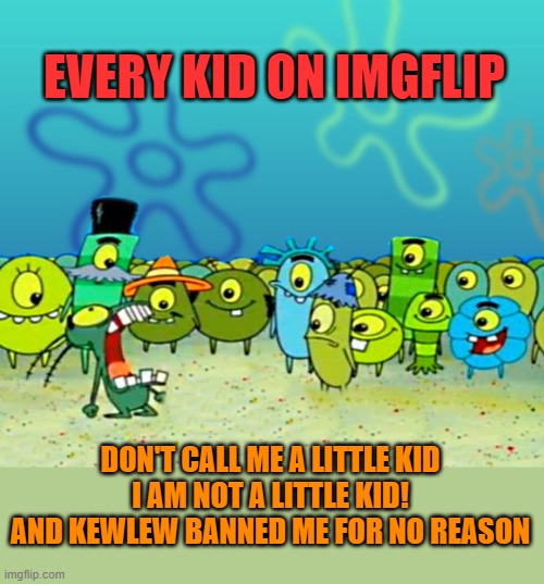 damn kids | EVERY KID ON IMGFLIP; DON'T CALL ME A LITTLE KID
I AM NOT A LITTLE KID!
AND KEWLEW BANNED ME FOR NO REASON | made w/ Imgflip meme maker
