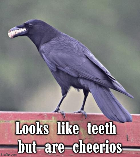 Looks like teeth 
but are cheerios | image tagged in cursed image | made w/ Imgflip meme maker