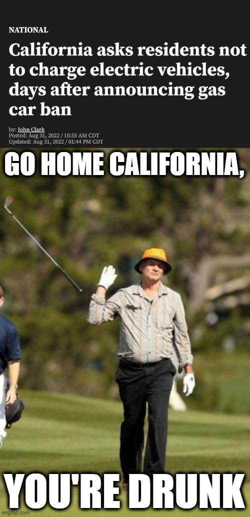 Gas or Electricity | GO HOME CALIFORNIA, YOU'RE DRUNK | image tagged in bill murray golf | made w/ Imgflip meme maker