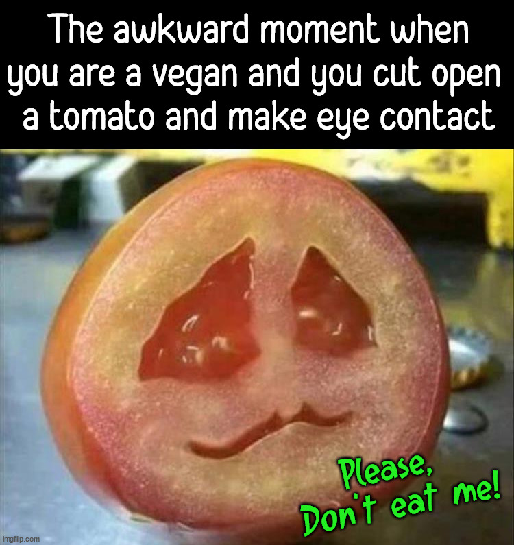 When you see the face, how can you eat it? | The awkward moment when you are a vegan and you cut open 
a tomato and make eye contact; Please, 
Don't eat me! | image tagged in vegan,totally looks like,tomato,eat me,fear | made w/ Imgflip meme maker
