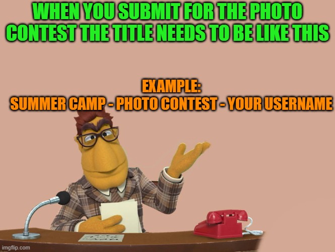 announcement! | WHEN YOU SUBMIT FOR THE PHOTO CONTEST THE TITLE NEEDS TO BE LIKE THIS; EXAMPLE:
SUMMER CAMP - PHOTO CONTEST - YOUR USERNAME | image tagged in news,title format,example | made w/ Imgflip meme maker
