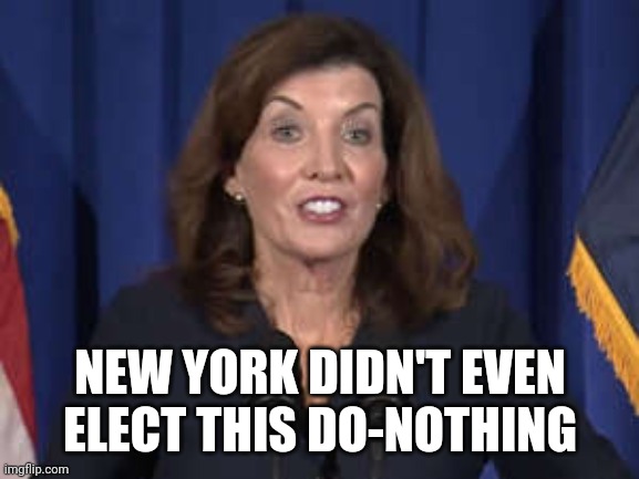 Kathy Hochul | NEW YORK DIDN'T EVEN ELECT THIS DO-NOTHING | image tagged in kathy hochul | made w/ Imgflip meme maker