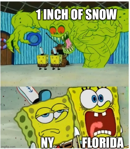 SpongeBob SquarePants scared but also not scared | 1 INCH OF SNOW; FLORIDA; NY | image tagged in spongebob squarepants scared but also not scared | made w/ Imgflip meme maker