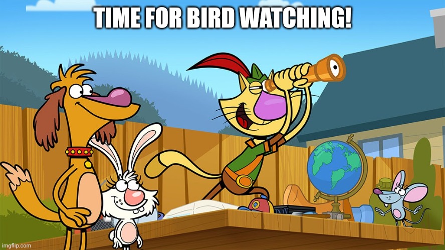 TIME FOR BIRD WATCHING! | made w/ Imgflip meme maker