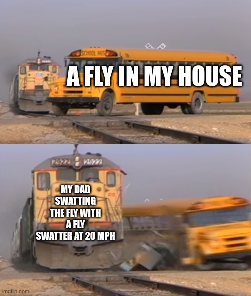 The fly is ded | A FLY IN MY HOUSE; MY DAD SWATTING THE FLY WITH A FLY SWATTER AT 20 MPH | image tagged in a train hitting a school bus | made w/ Imgflip meme maker