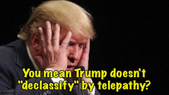 Trump Meltdown | You mean Trump doesn't "declassify" by telepathy? | image tagged in trump meltdown | made w/ Imgflip meme maker