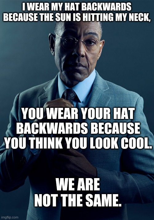 people who wear there hat backwards | I WEAR MY HAT BACKWARDS BECAUSE THE SUN IS HITTING MY NECK, YOU WEAR YOUR HAT BACKWARDS BECAUSE YOU THINK YOU LOOK COOL. WE ARE NOT THE SAME. | image tagged in gus fring we are not the same | made w/ Imgflip meme maker