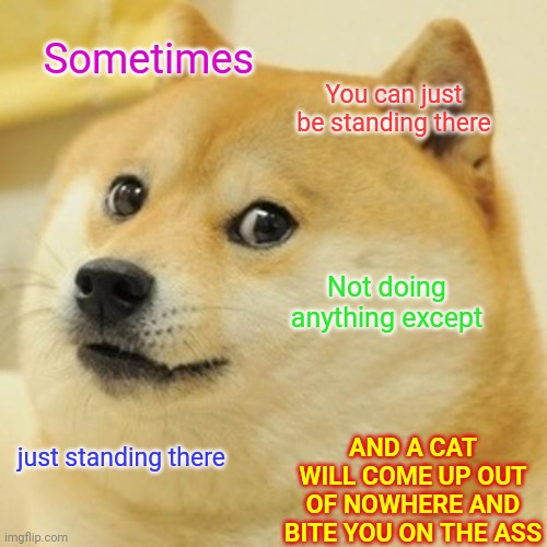 And Sometimes A Memer Is There To Witness It. |  Sometimes; You can just be standing there; Not doing anything except; AND A CAT WILL COME UP OUT OF NOWHERE AND BITE YOU ON THE ASS; just standing there | image tagged in memes,doge,lol,true story,life lessons,watch your back | made w/ Imgflip meme maker