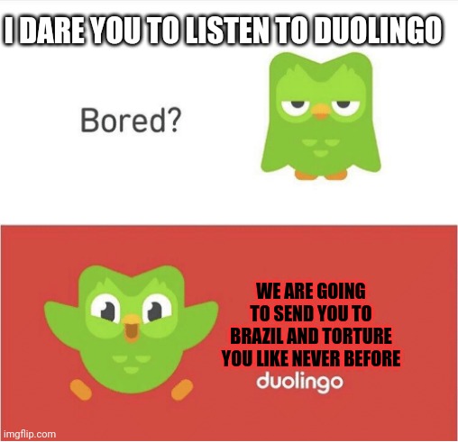duolingo out of context - Imgflip
