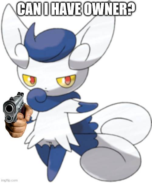 Meowstic | CAN I HAVE OWNER? | image tagged in meowstic | made w/ Imgflip meme maker