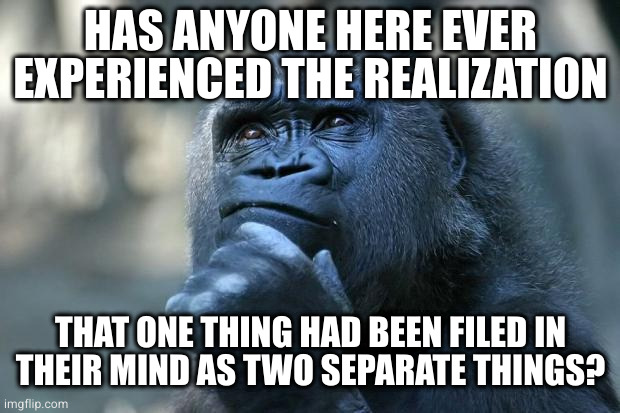 I wonder if this phenomenon has already been catalogued | HAS ANYONE HERE EVER EXPERIENCED THE REALIZATION; THAT ONE THING HAD BEEN FILED IN
THEIR MIND AS TWO SEPARATE THINGS? | image tagged in deep thoughts | made w/ Imgflip meme maker