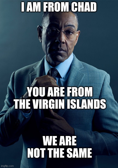I- | I AM FROM CHAD; YOU ARE FROM THE VIRGIN ISLANDS; WE ARE NOT THE SAME | image tagged in gus fring we are not the same | made w/ Imgflip meme maker