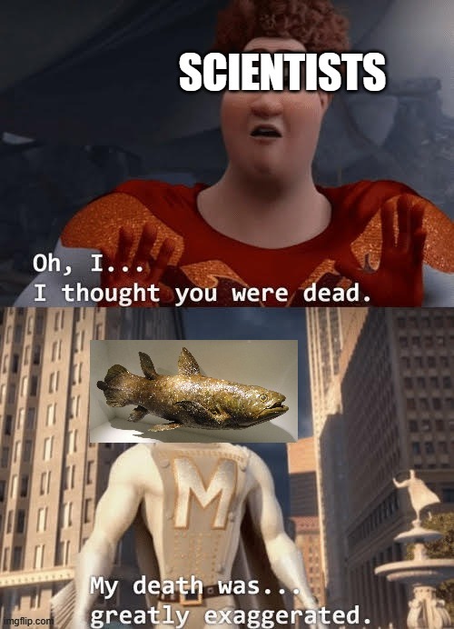 Coelacanth | image tagged in paleontology,my death was greatly exaggerated,biology | made w/ Imgflip meme maker