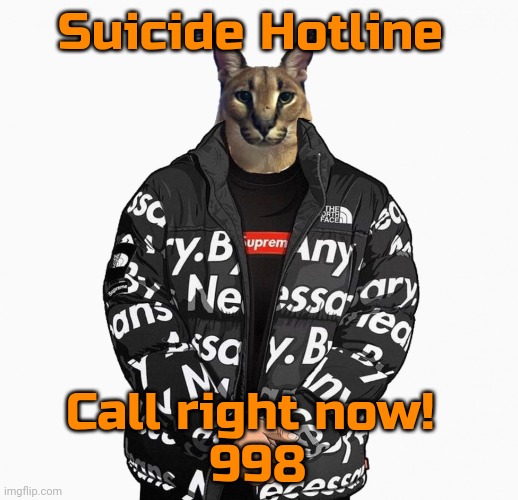 Floppa drip | Suicide Hotline; Call right now! 
998 | image tagged in floppa drip | made w/ Imgflip meme maker