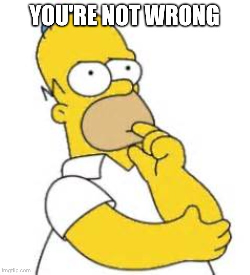 Homer Simpson Hmmmm | YOU'RE NOT WRONG | image tagged in homer simpson hmmmm | made w/ Imgflip meme maker