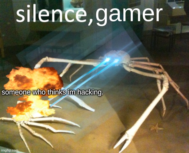 lol, they dont know i have 3,000+ hours on TF2! | gamer; someone who thinks im hacking. | image tagged in silence crab | made w/ Imgflip meme maker