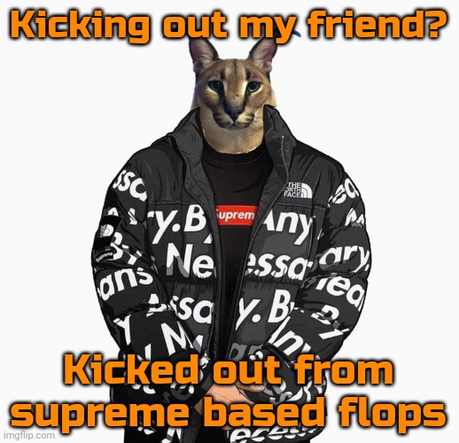 Floppa drip | Kicking out my friend? Kicked out from supreme based flops | image tagged in floppa drip | made w/ Imgflip meme maker