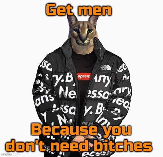 Floppa drip | Get men Because you don't need bitches | image tagged in floppa drip | made w/ Imgflip meme maker