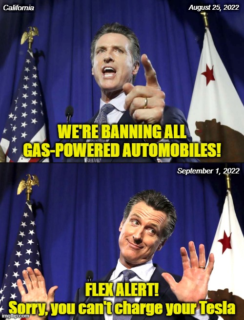 California, unplug your Refrigerators too. Flex Alert 4-9pm until after Labor Day. | California; August 25, 2022; WE'RE BANNING ALL GAS-POWERED AUTOMOBILES! September 1, 2022; FLEX ALERT!
Sorry, you can't charge your Tesla | image tagged in california,governor,democrats,energy,electricity,tesla | made w/ Imgflip meme maker