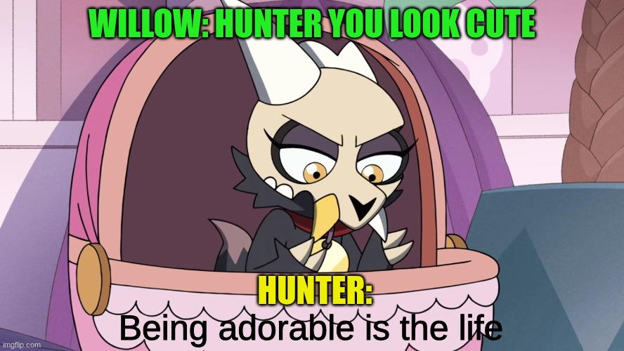 the owl house | WILLOW: HUNTER YOU LOOK CUTE; HUNTER: | image tagged in the owl house | made w/ Imgflip meme maker