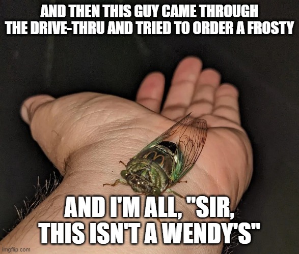 McDonald's CIcada | AND THEN THIS GUY CAME THROUGH THE DRIVE-THRU AND TRIED TO ORDER A FROSTY; AND I'M ALL, "SIR, THIS ISN'T A WENDY'S" | image tagged in mcdonald's cicada | made w/ Imgflip meme maker