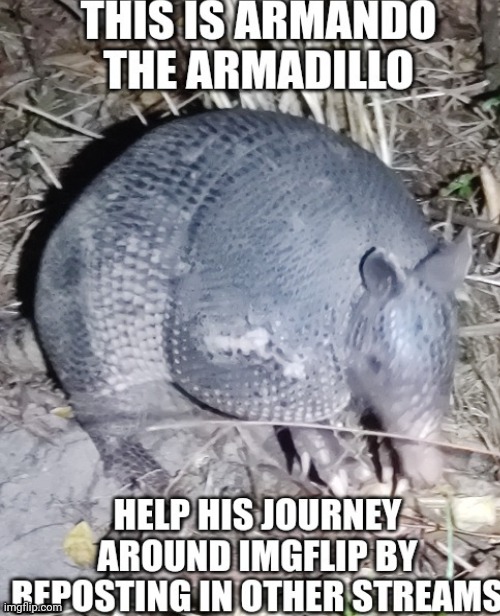 Armando takeover has begun | image tagged in memes,repost | made w/ Imgflip meme maker