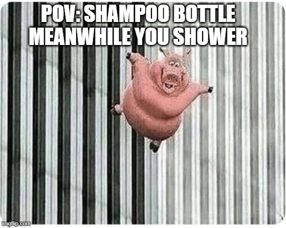 Shampoo Bottle Meme | POV: SHAMPOO BOTTLE MEANWHILE YOU SHOWER | image tagged in pig jumping off | made w/ Imgflip meme maker