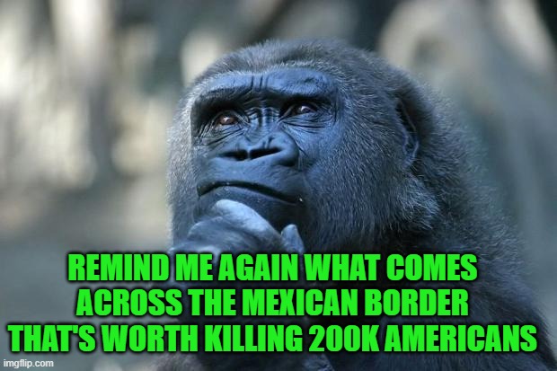 Yep | REMIND ME AGAIN WHAT COMES ACROSS THE MEXICAN BORDER THAT'S WORTH KILLING 200K AMERICANS | image tagged in deep thoughts | made w/ Imgflip meme maker