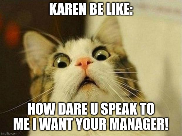 Scared Cat | KAREN BE LIKE:; HOW DARE U SPEAK TO ME I WANT YOUR MANAGER! | image tagged in memes,scared cat | made w/ Imgflip meme maker