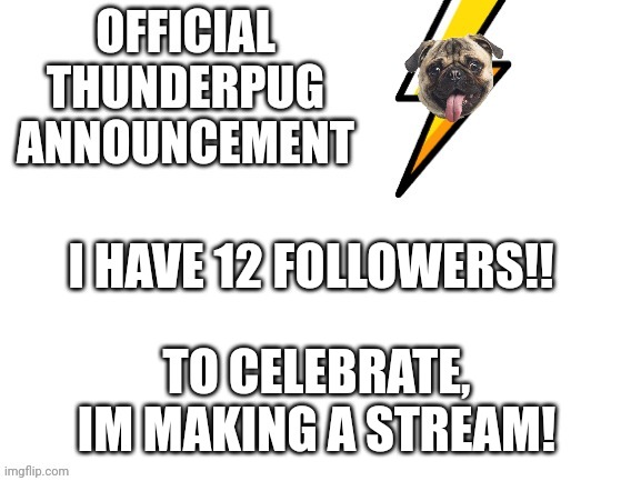I'm making a stream! | I HAVE 12 FOLLOWERS!! TO CELEBRATE, IM MAKING A STREAM! | image tagged in official thunderpug announcement template,followers | made w/ Imgflip meme maker