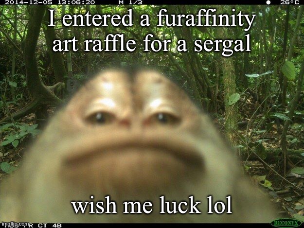 monki | I entered a furaffinity art raffle for a sergal; wish me luck lol | image tagged in monki | made w/ Imgflip meme maker