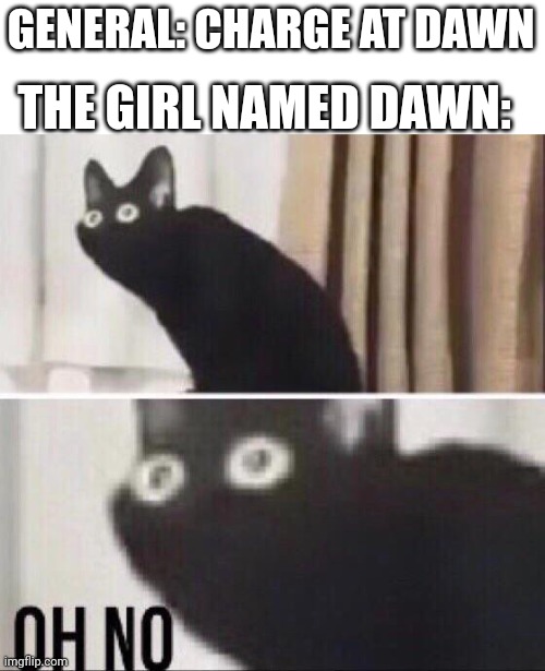 Oh no cat | GENERAL: CHARGE AT DAWN THE GIRL NAMED DAWN: | image tagged in oh no cat | made w/ Imgflip meme maker